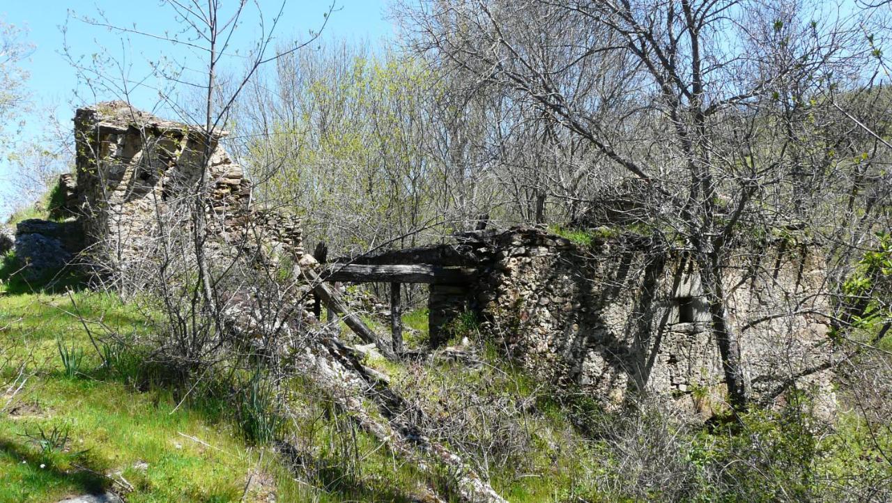 El Huerto De Leon Villa Pradena del Rincon Exteriör bild